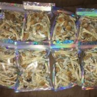 Buy Liberty Cap mushroom in Austria.
