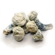 order psilocybin mushrooms Austria